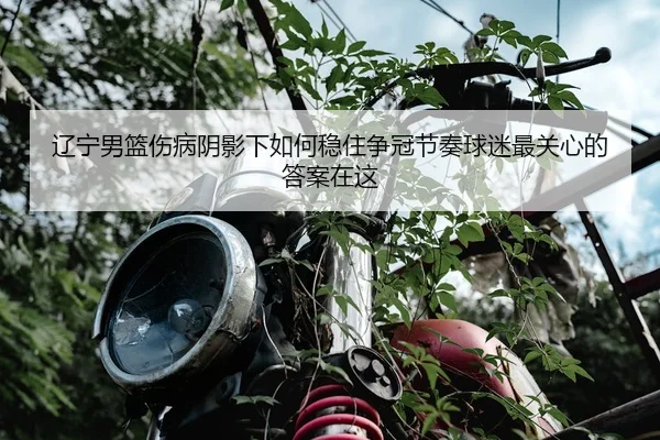 辽宁男篮伤病阴影下如何稳住争冠节奏球迷最关心的答案在这