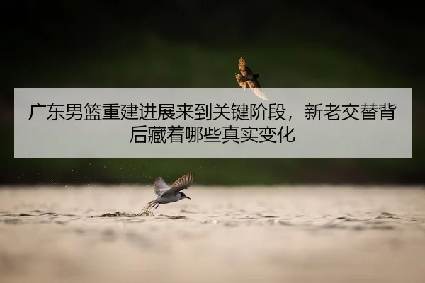 广东男篮重建进展来到关键阶段，新老交替背后藏着哪些真实变化