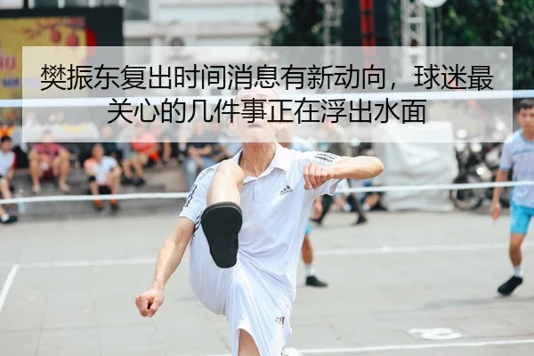樊振东复出时间消息有新动向，球迷最关心的几件事正在浮出水面